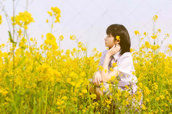 白茶养生茶功效全解析：揭秘五大养生秘密